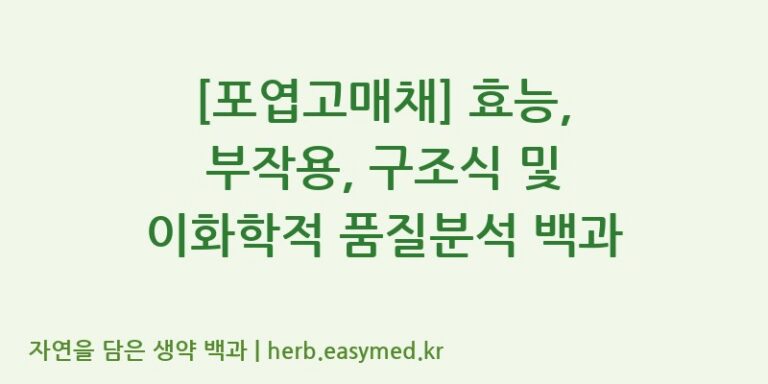 [포엽고매채] 효능, 부작용, 구조식 및 이화학적 품질분석 백과